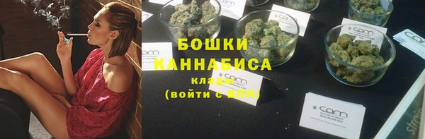 дмт Нягань