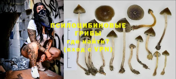 ECSTASY Алексин