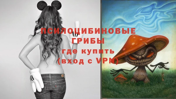 ECSTASY Алексин