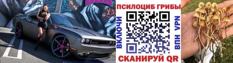 Галлюциногенные грибы ЛСД  как найти закладки  Бердск 