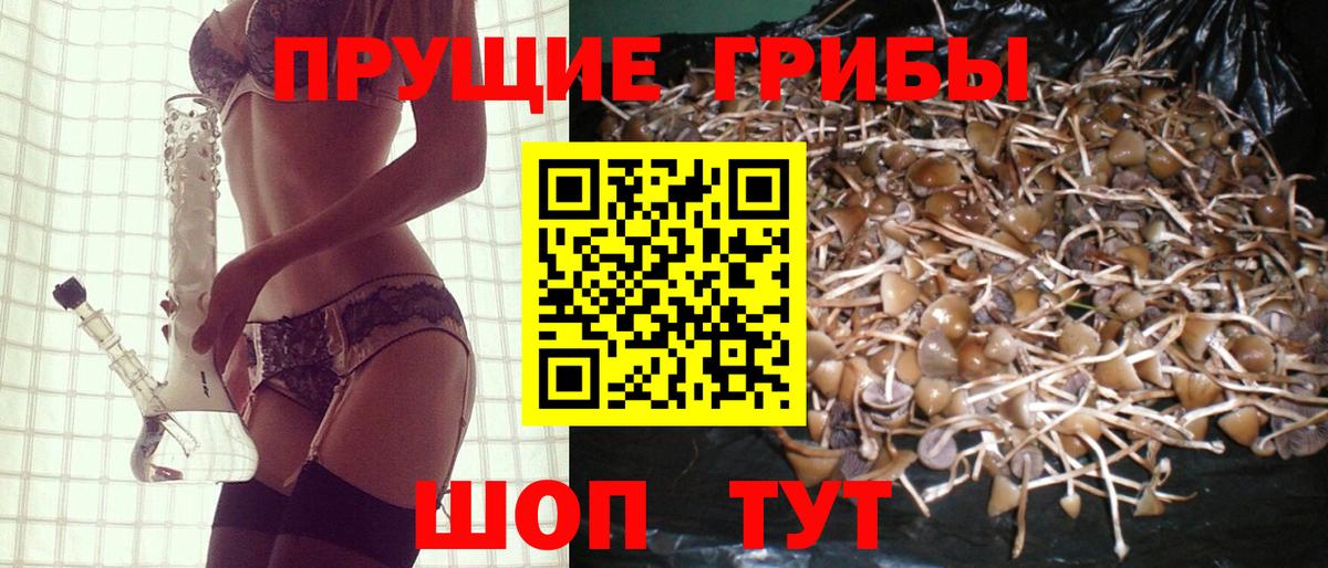 Псилоцибиновые грибы MAGIC MUSHROOMS  Вход с VPN  даркнет сайт  Бердск 